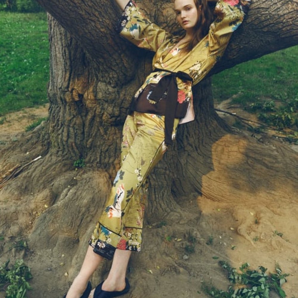 RARE Zara Silky Cropped Printed Pants - NWT